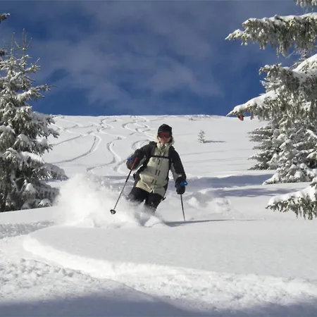 Aventure Bed and Breakfast Les Gets