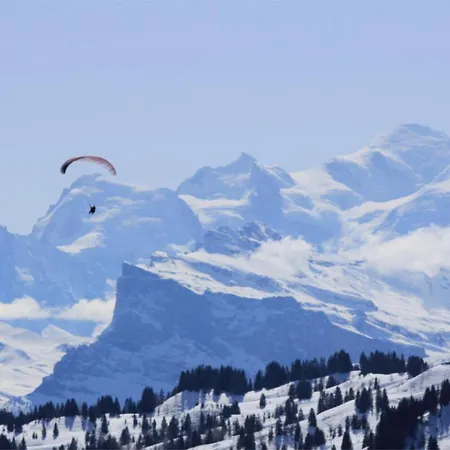 Aventure 3* Les Gets