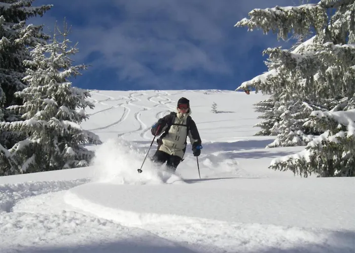 Aventure Bed & Breakfast Les Gets